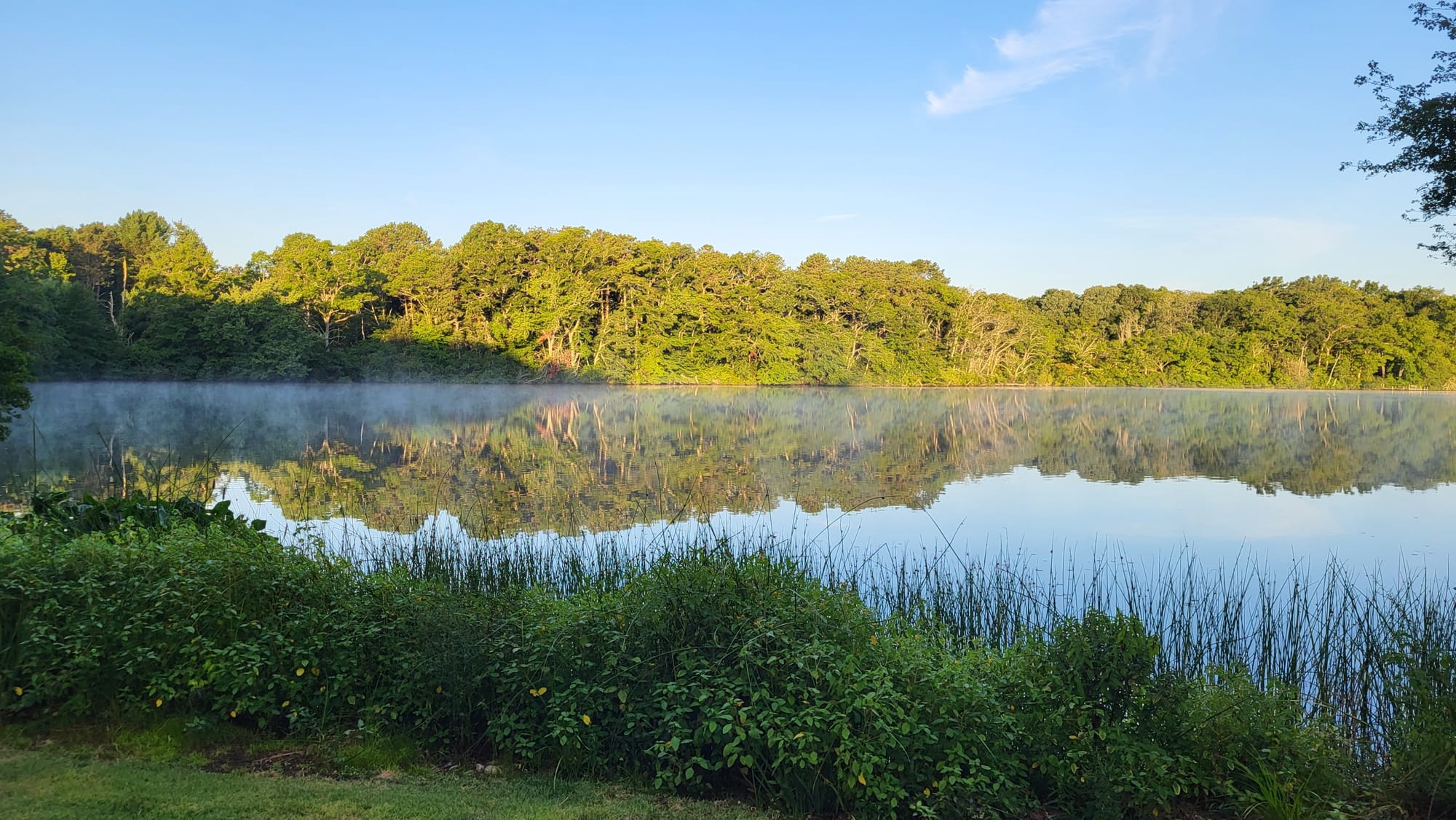 Santuit Pond Watershed Association