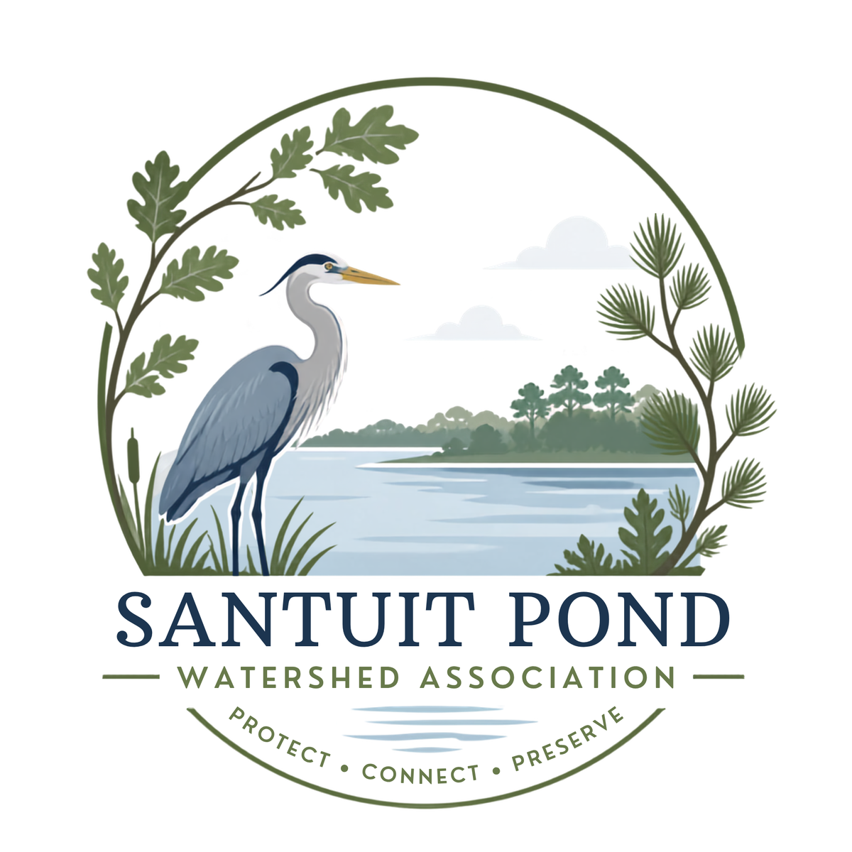 Introducing the Santuit Pond Watershed Association