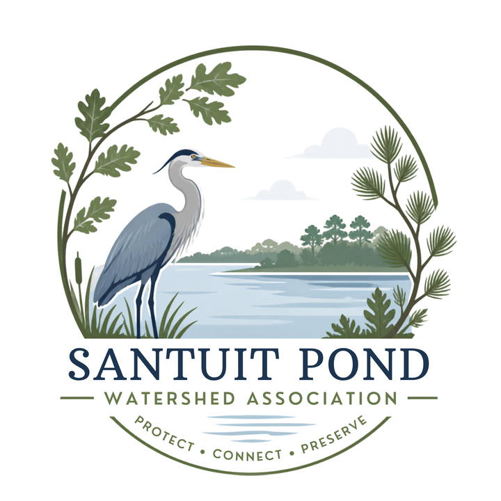 Introducing the Santuit Pond Watershed Association